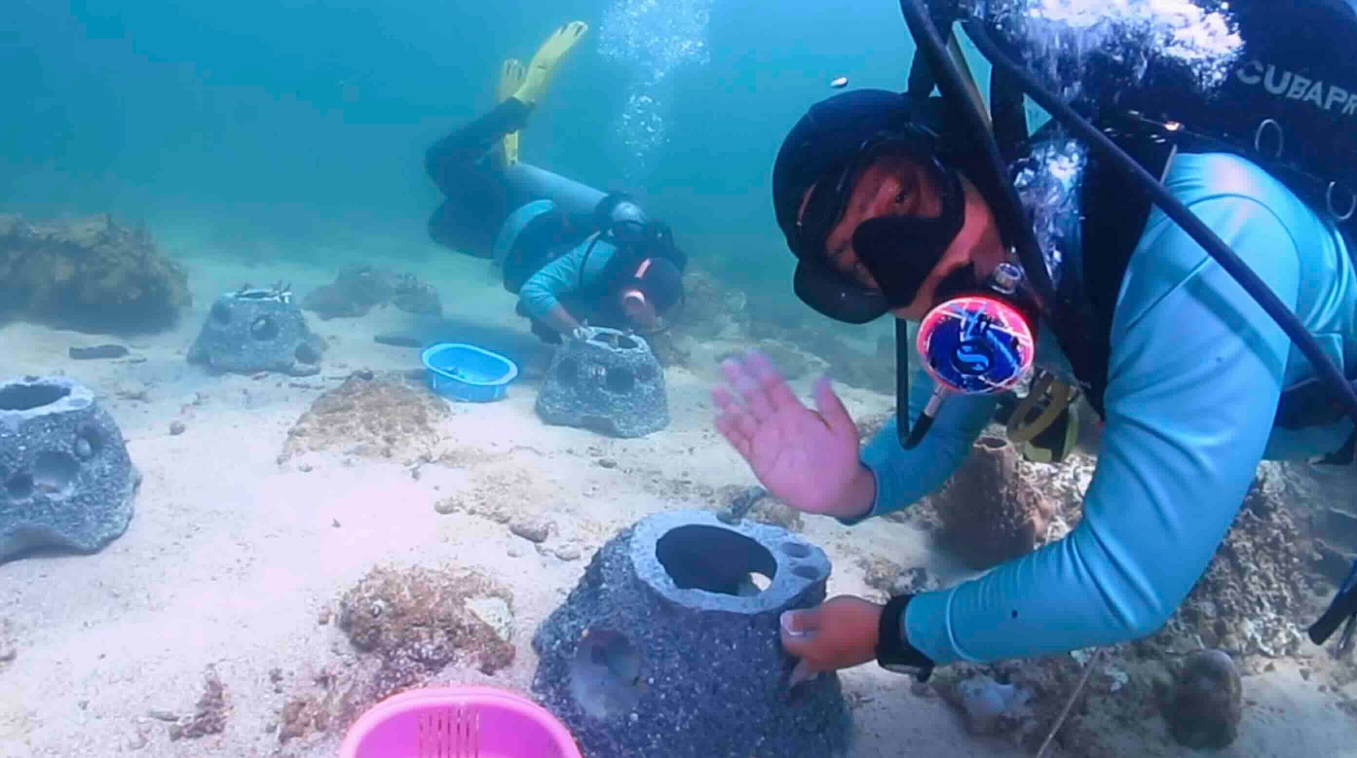 Artificial reefs restore Brunei's coral ecosystems